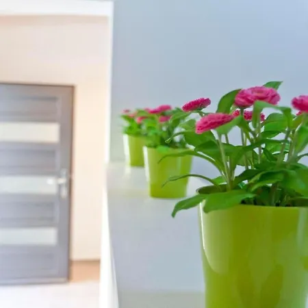 Feriehus Wellness Und Stella- In Der Naehe Von Straenden - By Interhome