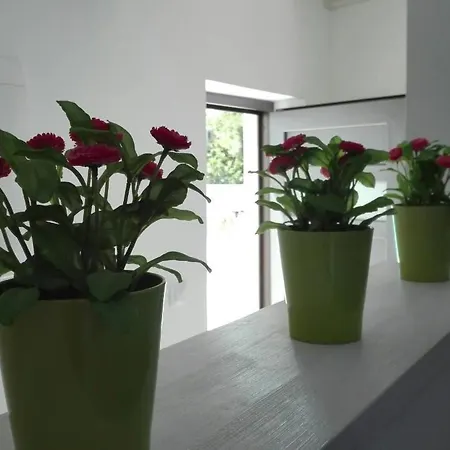 Wellness Und Stella- In Der Naehe Von Straenden - By Interhome Pula